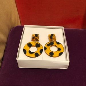 Transparent earrings